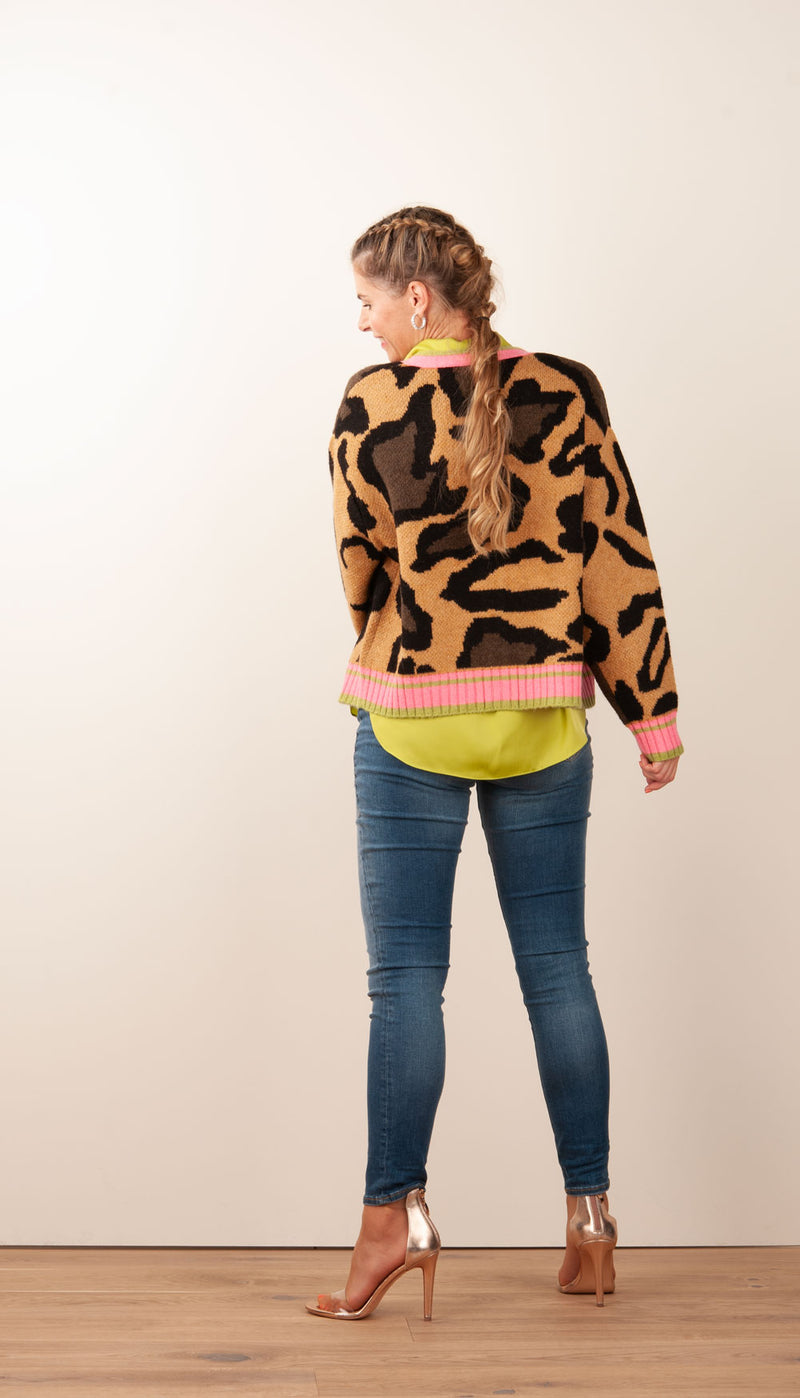 Strickjacke „Big Leo“ Multicolor